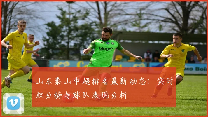 山东泰山中超排名最新动态：实时积分榜与球队表现分析