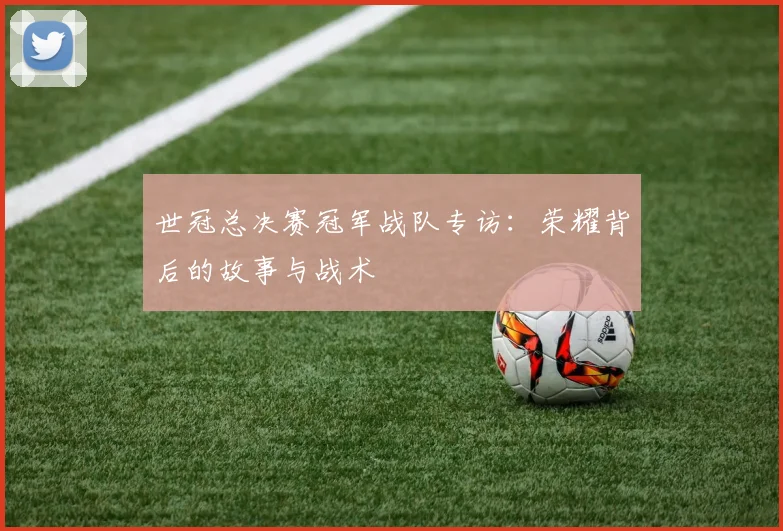 世冠总决赛冠军战队专访：荣耀背后的故事与战术